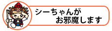 シーちゃんがお邪魔します